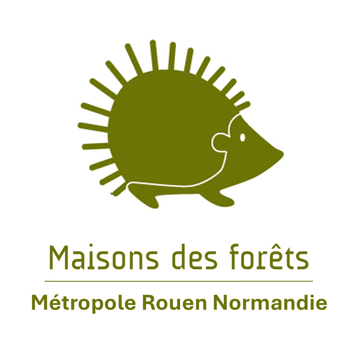 Biodiversitup-animation_maisons des forêts rouen