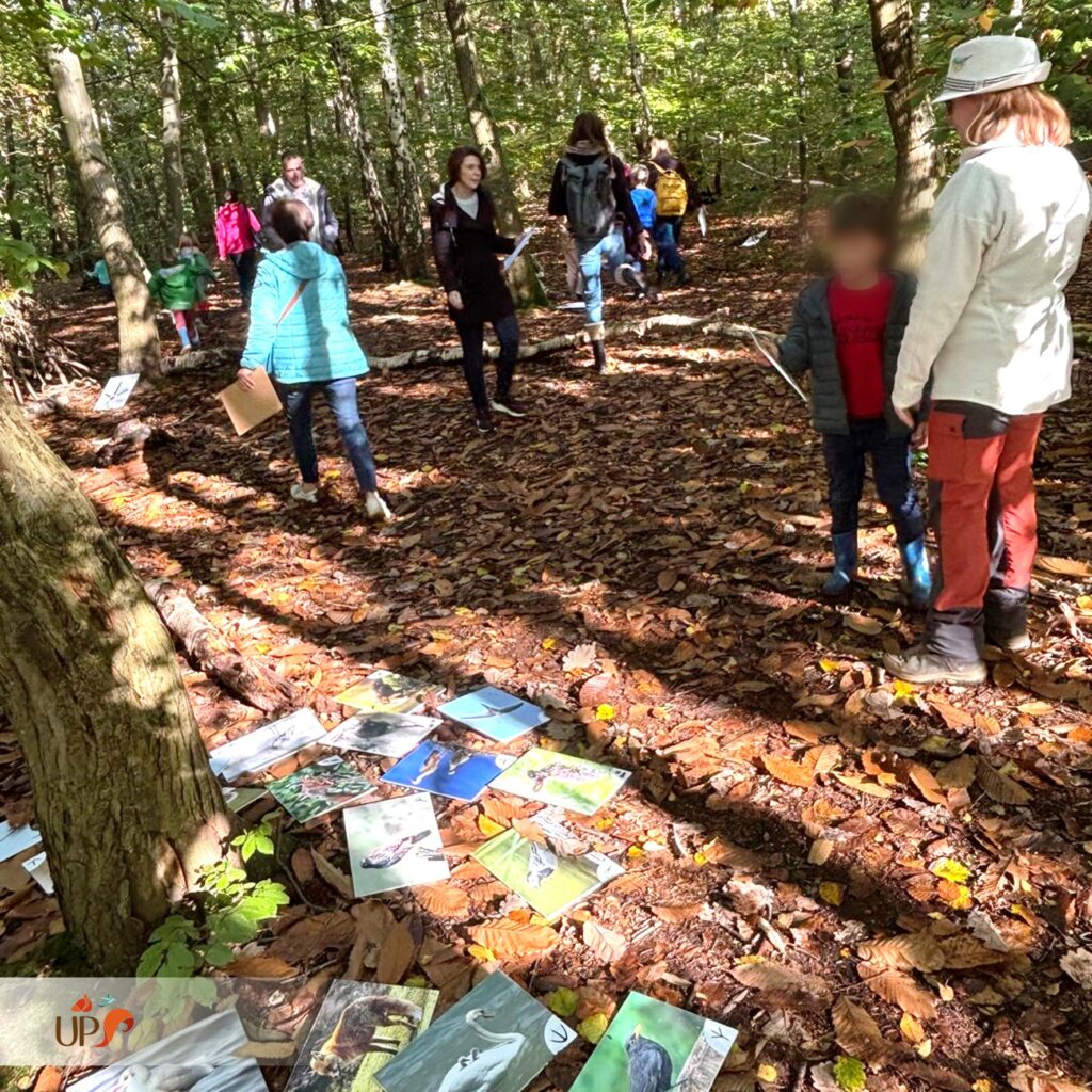 Des rallyes de découverte de la faune locale