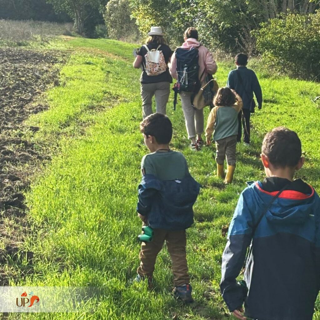 Des balades nature sur la piste des animaux sauvages