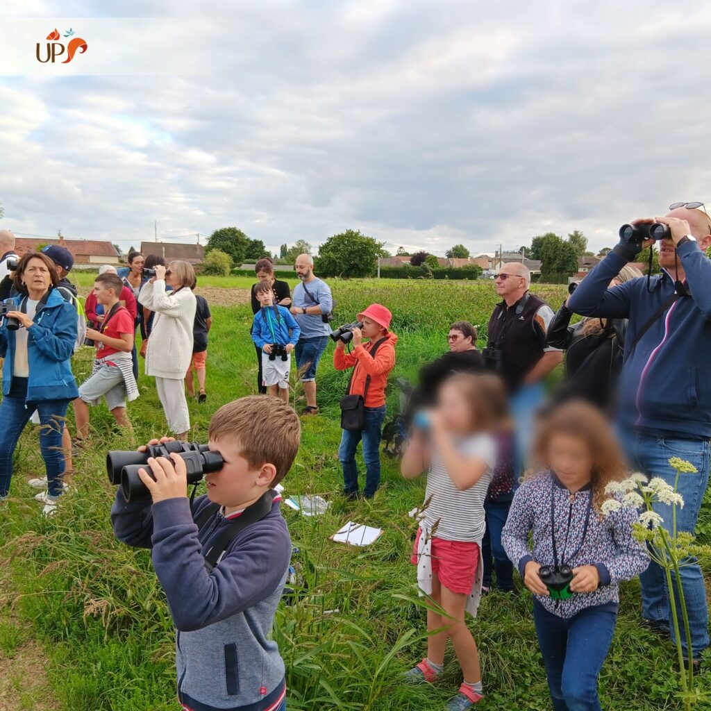 Des balades nature sur la piste des animaux sauvages