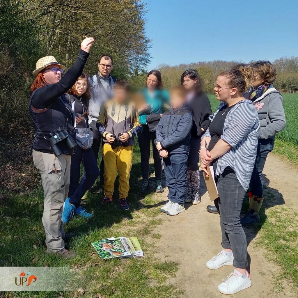 Des rallyes de découverte de la faune