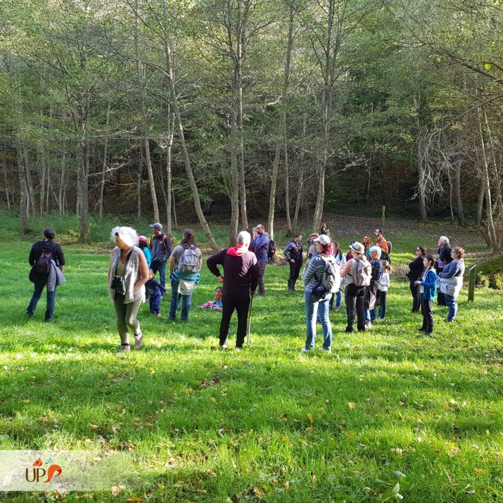 Des balades nature sur la piste des animaux sauvages