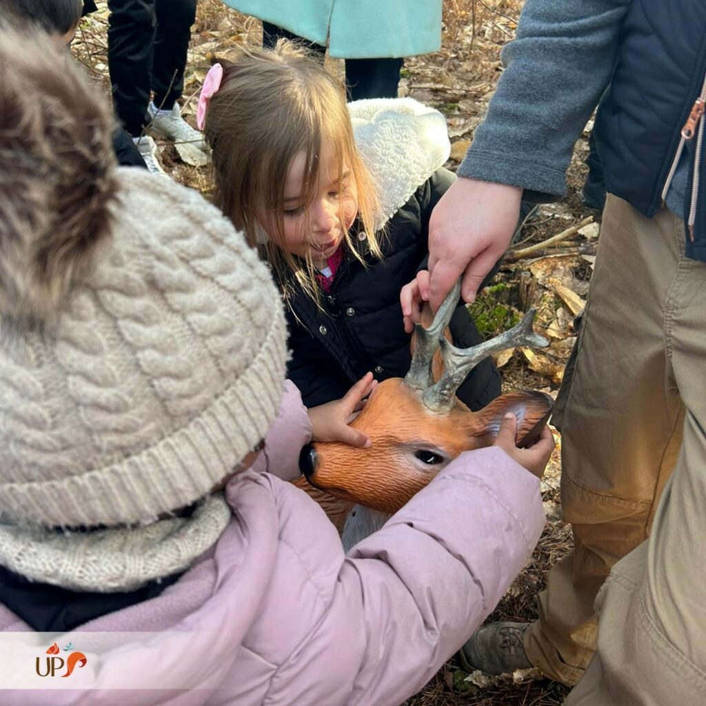 Devenons de vrais petits animaux sauvages