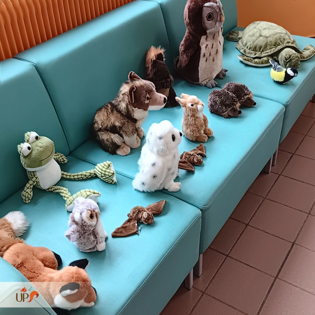 Peluches d'animaux