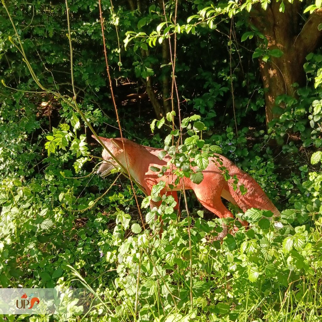 Animaux en résine, le renard roux