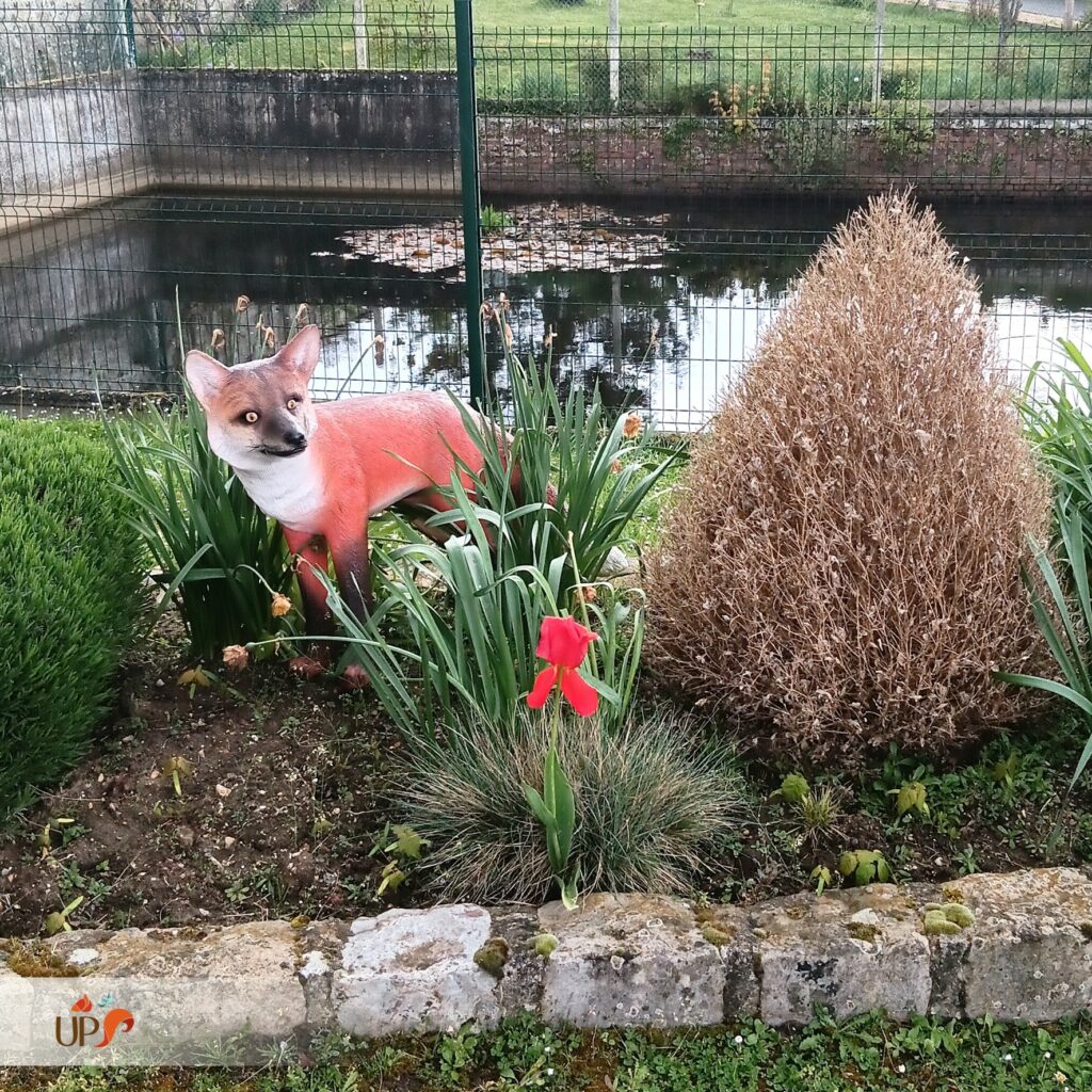 Animaux en résine, le renard roux