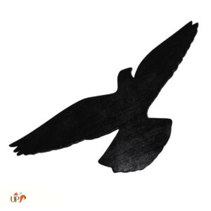 biodiversitup-animation_silhouettes d_oiseaux (1)