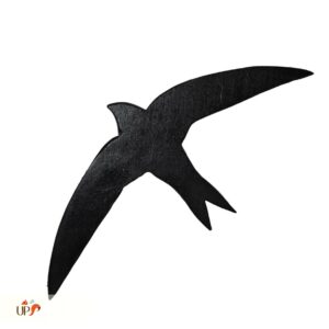 biodiversitup-animation_silhouettes d_oiseaux (3)