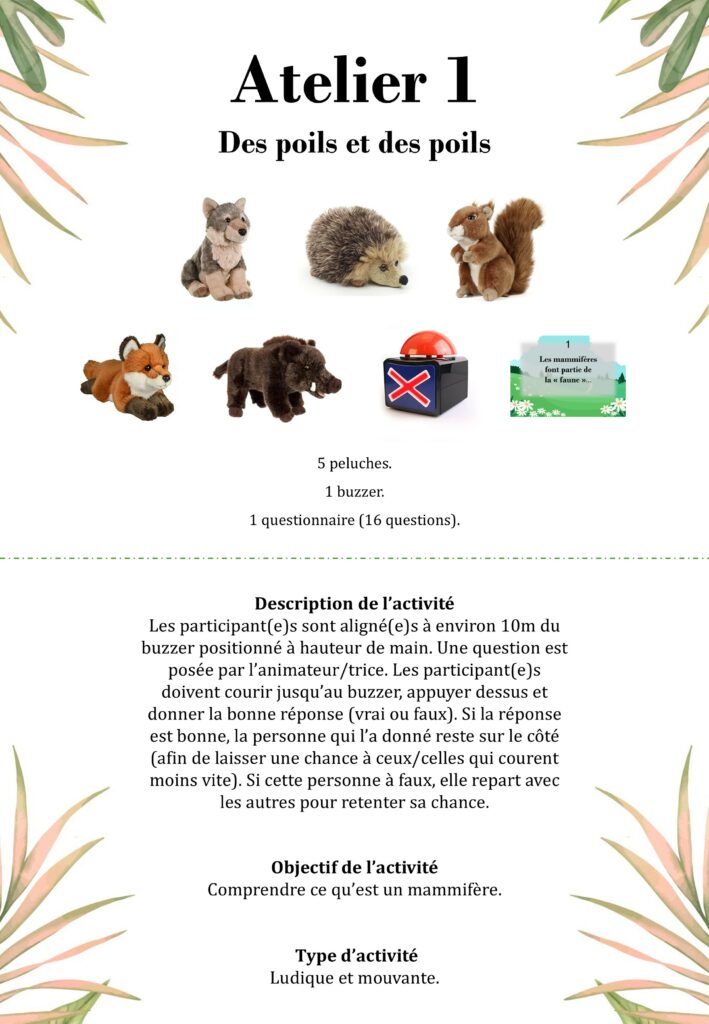 Atelier 1 - des poils et des poils