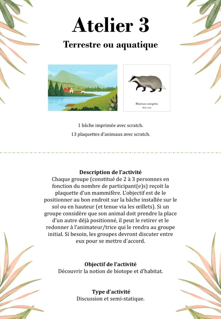 Atelier 3 - terrestre ou aquatique