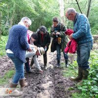 26.06.21 Adultes balade nature coeur de forêt