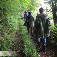 26.06.21 Adultes balade nature coeur de forêt