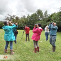 27.06.21 Adultes initiation ornithologie